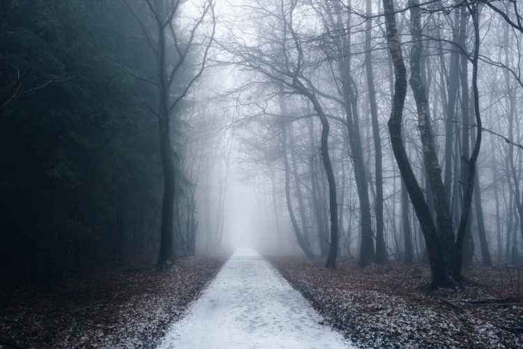 Nebel in Asbach, Deutschland